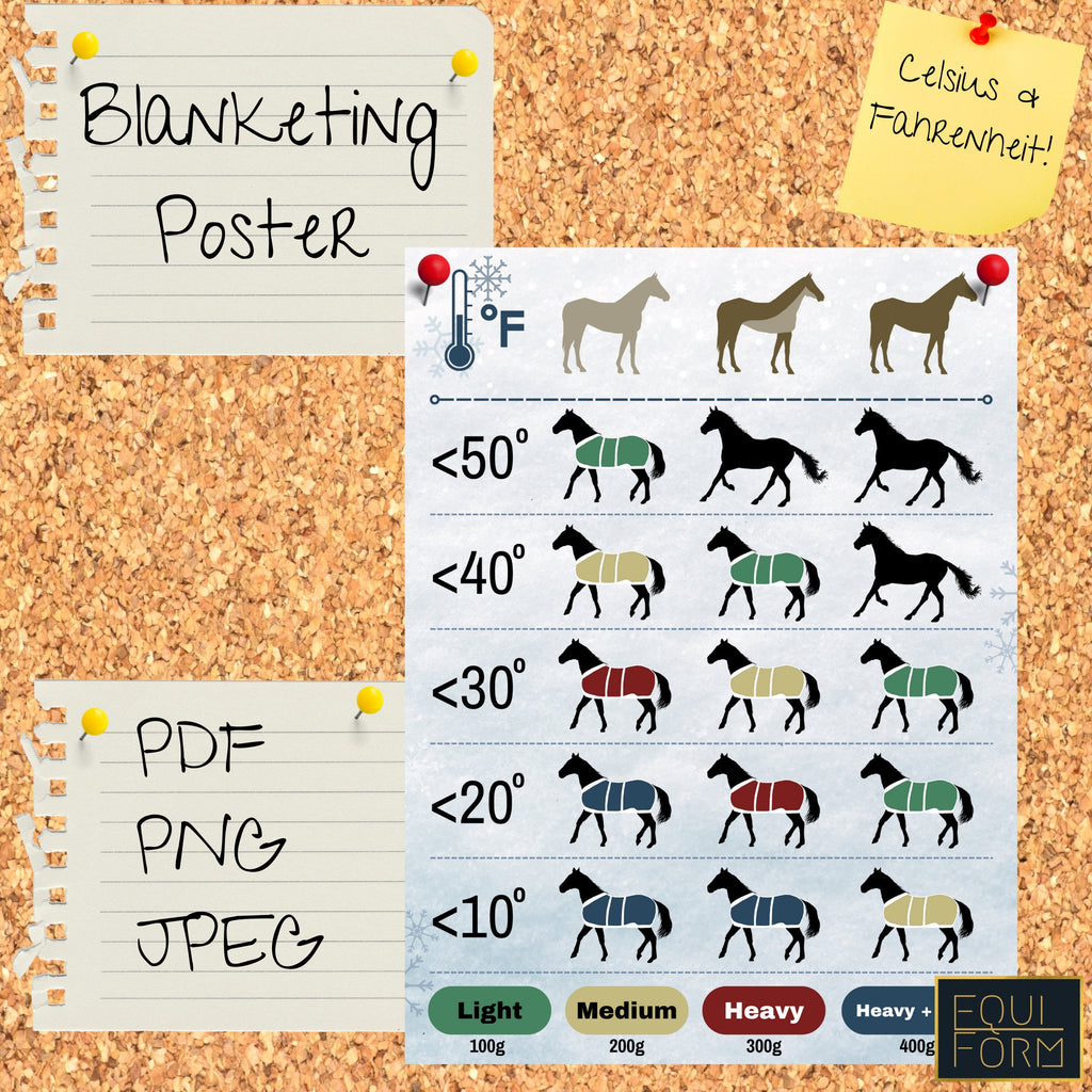 Horse Blanketing Poster Temperature Guide