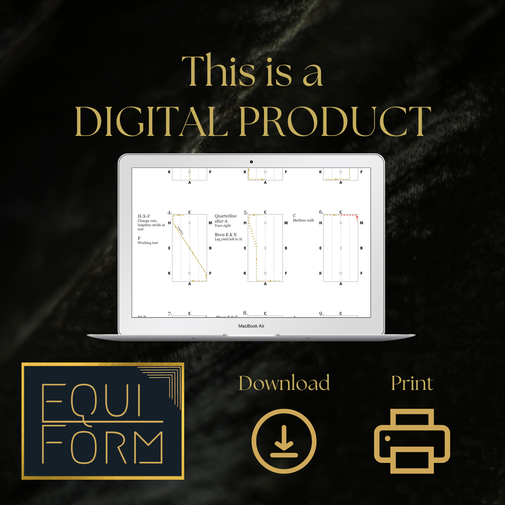 2026 USEA Dressage Test Diagrams - ALL LEVELS
