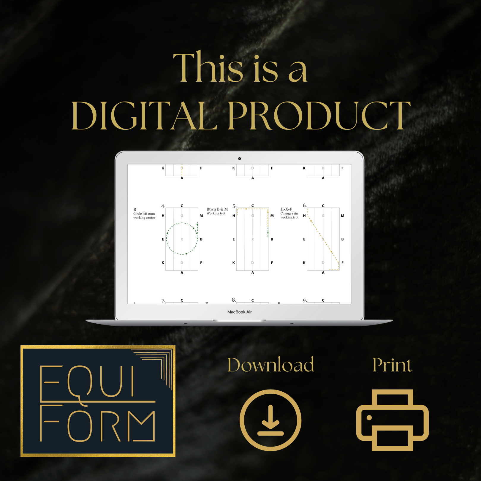 2026 USEA Beginner Novice Dressage Test Diagrams
