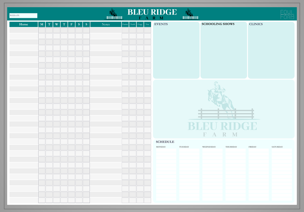 Equestrian Training Program Dry Erase Whiteboard