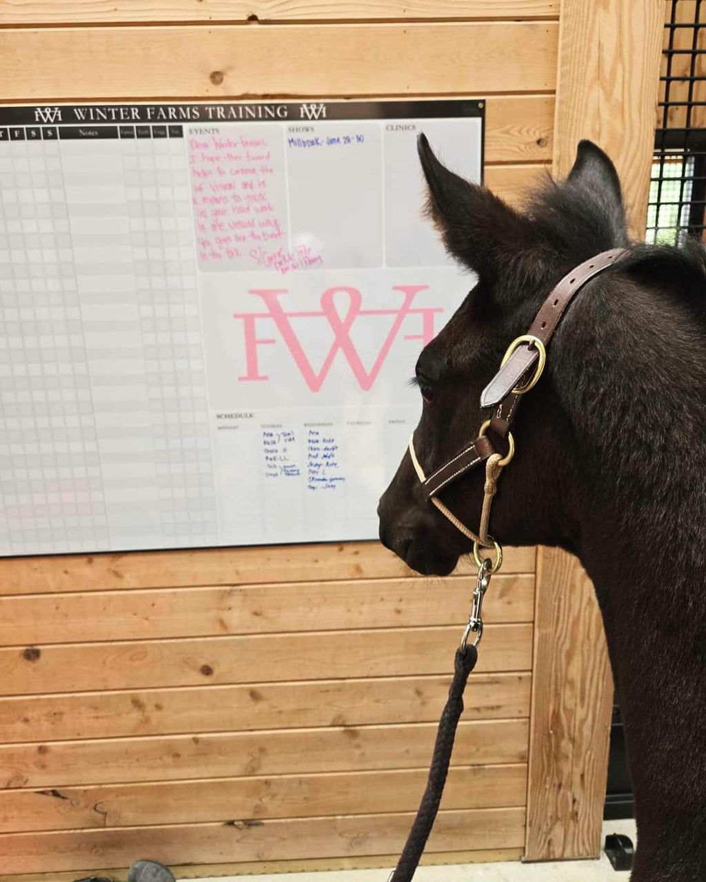 Equestrian Training Program Dry Erase Whiteboard