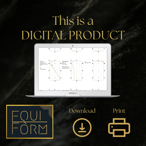 2026 USEA Modified Dressage Test Diagrams