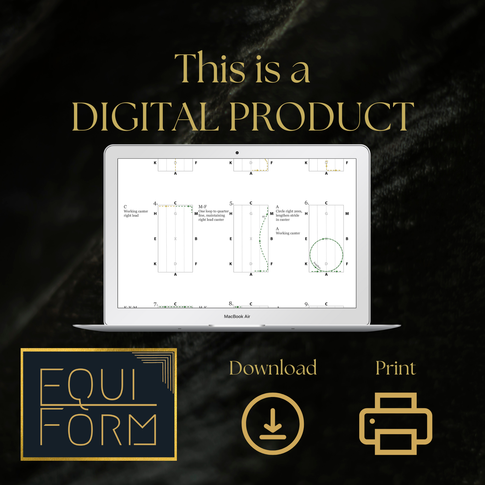 2026 USEA Preliminary Dressage Test Diagrams