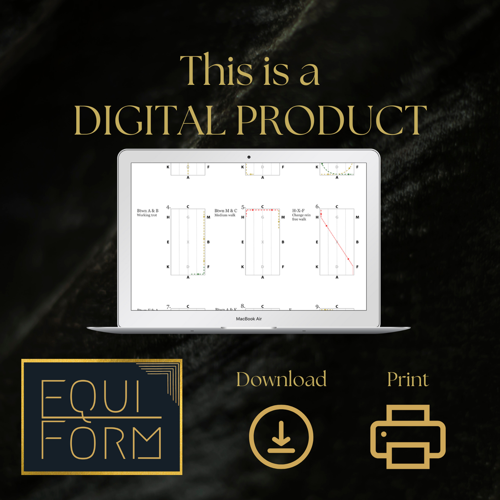 2026 USEA Starter Dressage Test Diagram
