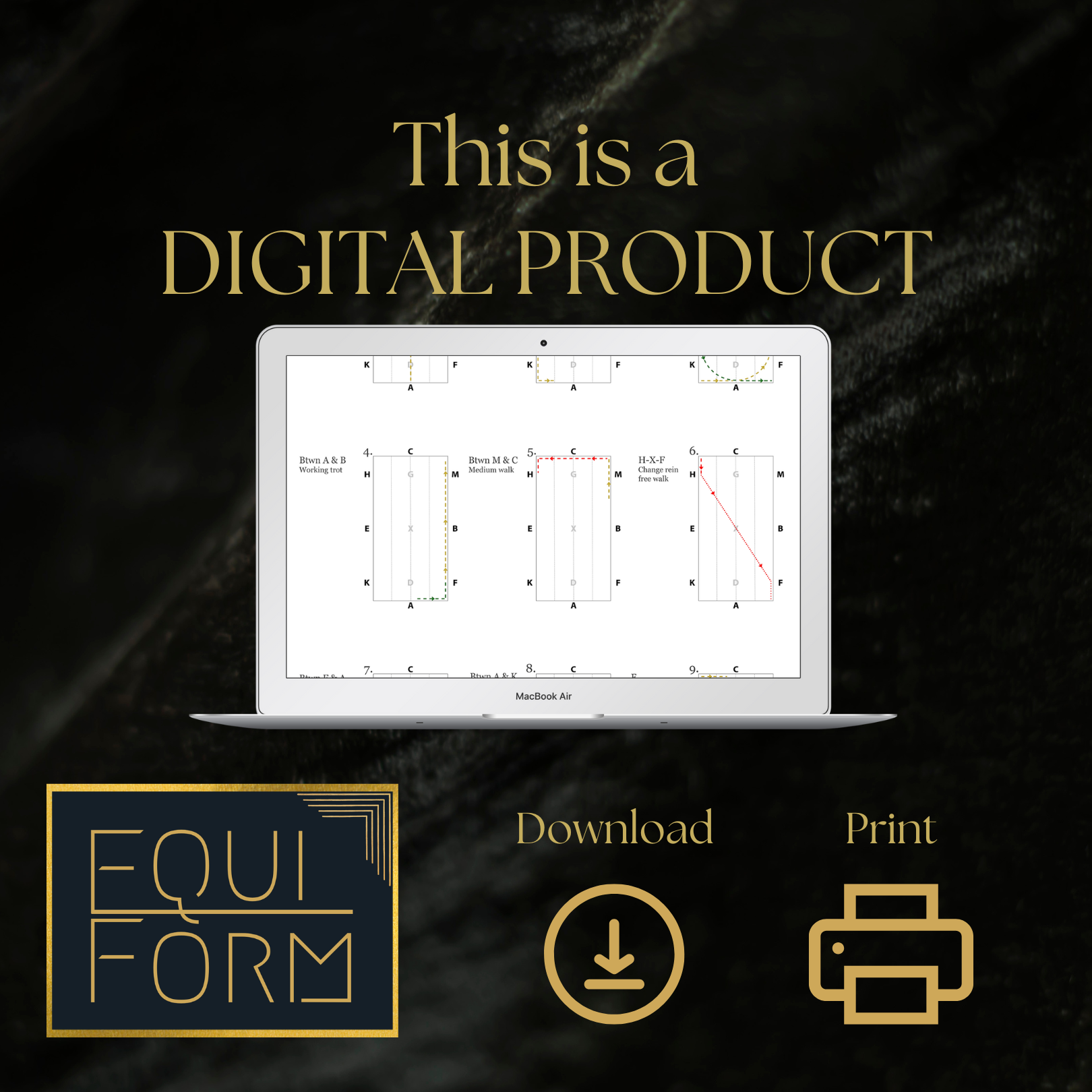 2026 USEA Starter Dressage Test Diagram