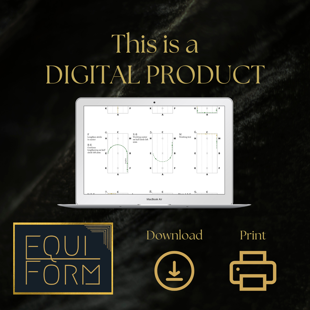 2026 USEA Training Dressage Test Diagrams