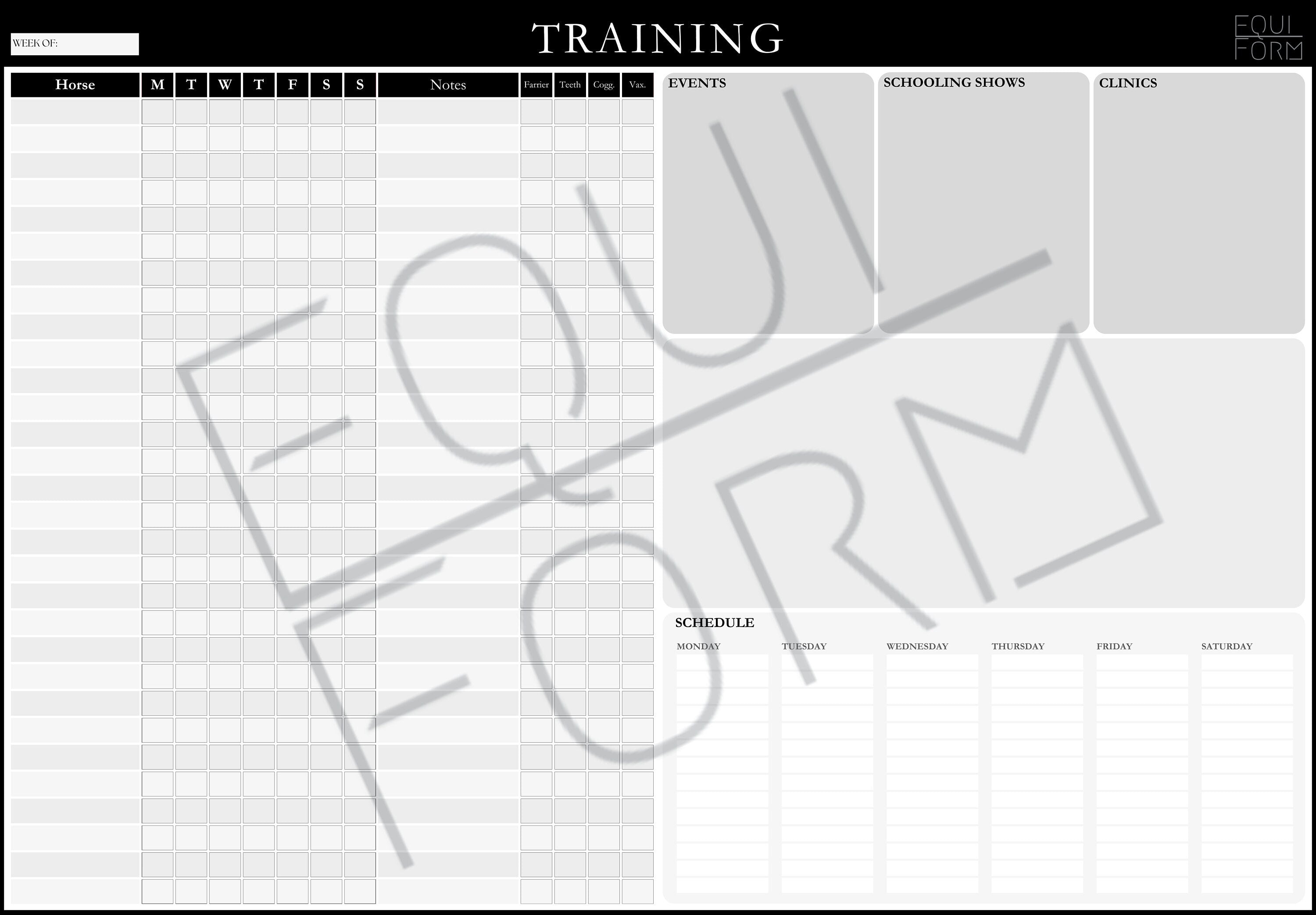Equestrian Training Program Dry Erase Whiteboard