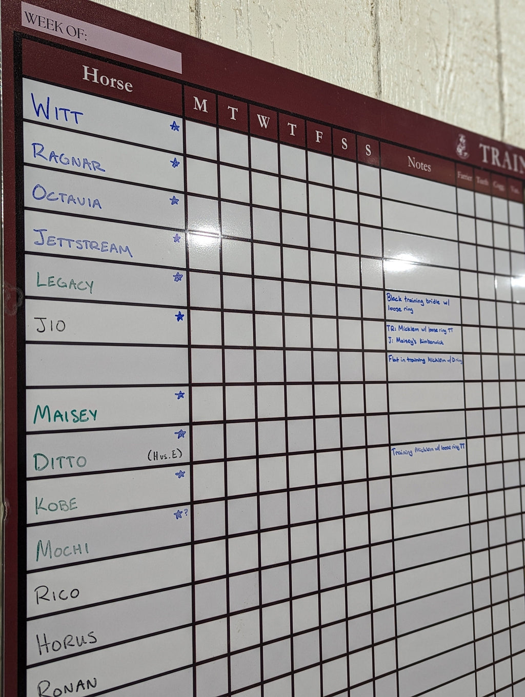 Equestrian Training Program Dry Erase Whiteboard