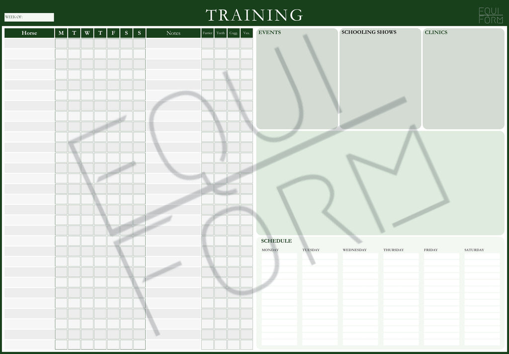 Equestrian Training Program Dry Erase Whiteboard